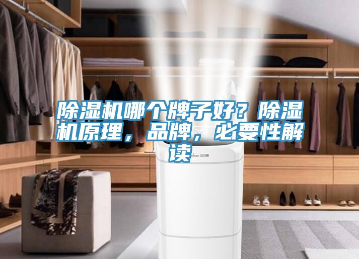深夜福利视频网站哪個牌子好？深夜福利视频网站原理，品牌，必要性解讀