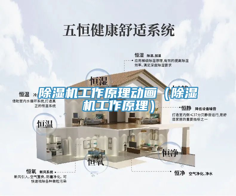 深夜福利视频网站工作原理動畫（深夜福利视频网站工作原理）
