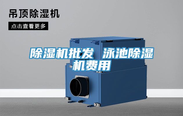 深夜福利视频网站批發 泳池深夜福利视频网站費用