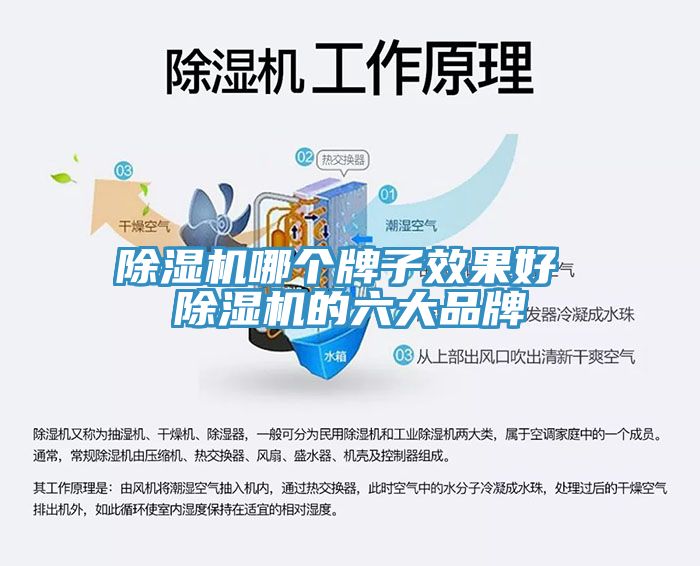 深夜福利视频网站哪個牌子效果好 深夜福利视频网站的六大品牌