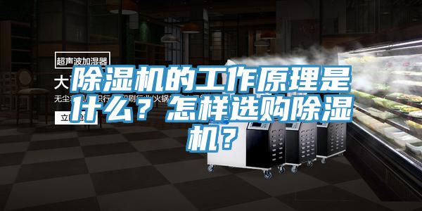 深夜福利视频网站的工作原理是什麽？怎樣選購深夜福利视频网站？