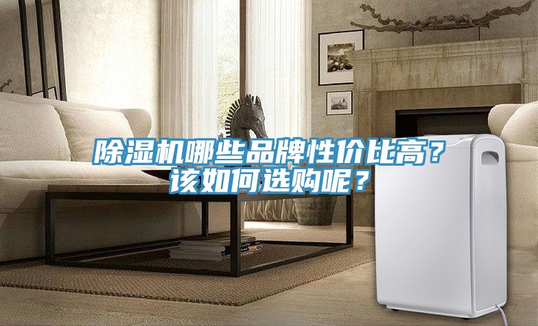 深夜福利视频网站哪些品牌性價比高？該如何選購呢？