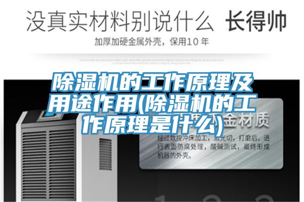 深夜福利视频网站的工作原理及用途作用(深夜福利视频网站的工作原理是什麽)