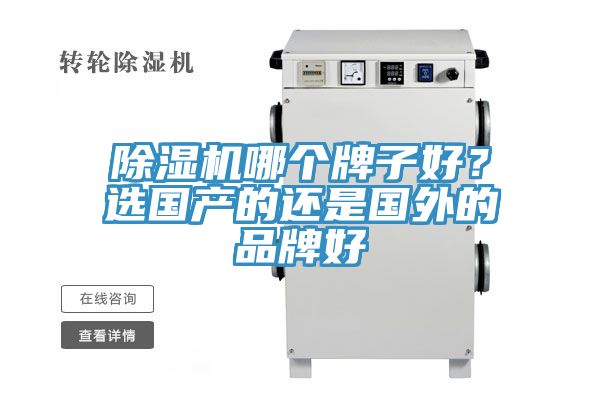 深夜福利视频网站哪個牌子好？選國產的還是國外的品牌好