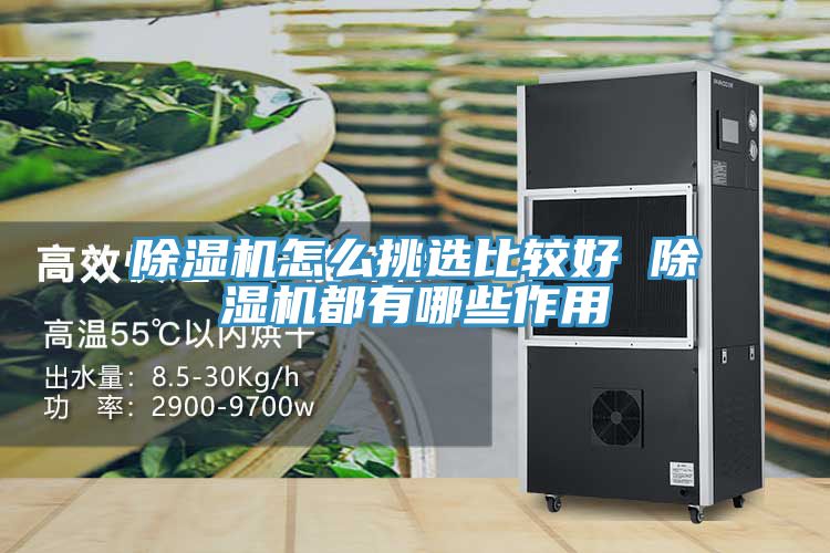 深夜福利视频网站怎麽挑選比較好 深夜福利视频网站都有哪些作用