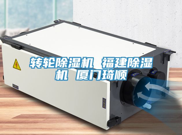 轉輪深夜福利视频网站 福建深夜福利视频网站 廈門琦順