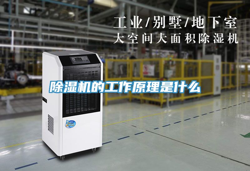 深夜福利视频网站的工作原理是什麽