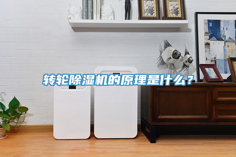 轉輪深夜福利视频网站的原理是什麽？