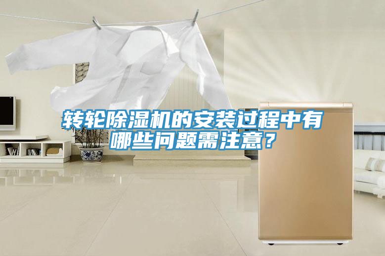 轉輪深夜福利视频网站的安裝過程中有哪些問題需注意？