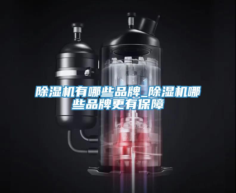 深夜福利视频网站有哪些品牌_深夜福利视频网站哪些品牌更有保障