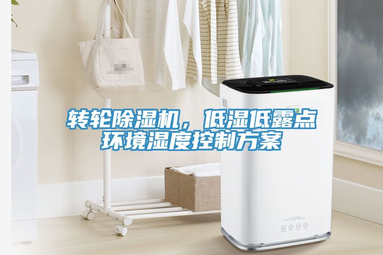 轉輪深夜福利视频网站，低濕低露點環境濕度控製方案