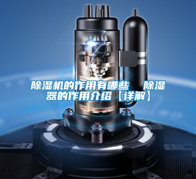 深夜福利视频网站的作用有哪些  除濕器的作用介紹【詳解】