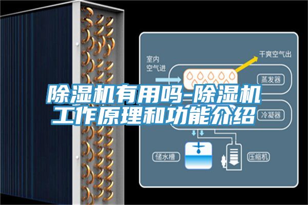 深夜福利视频网站有用嗎-深夜福利视频网站工作原理和功能介紹