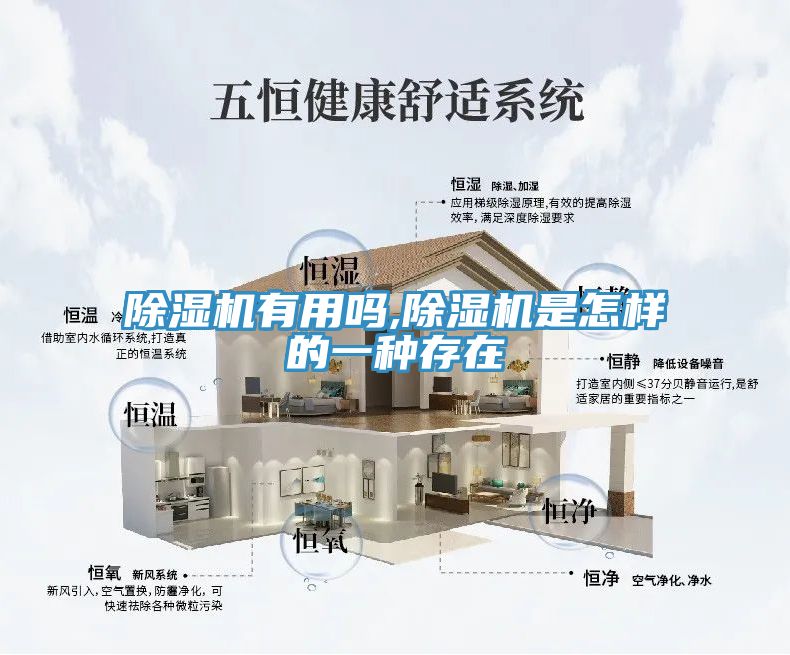 深夜福利视频网站有用嗎,深夜福利视频网站是怎樣的一種存在