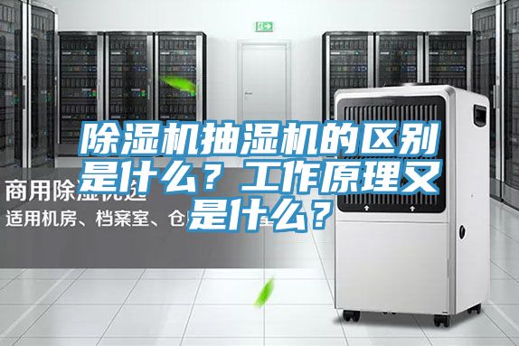 深夜福利视频网站抽濕機的區別是什麽？工作原理又是什麽？