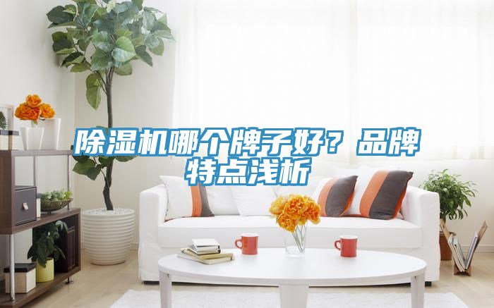 深夜福利视频网站哪個牌子好？品牌特點淺析