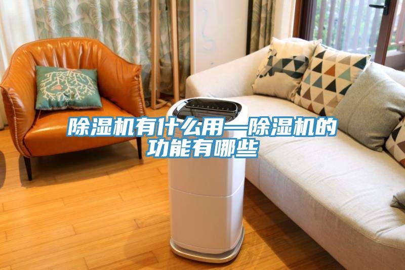 深夜福利视频网站有什麽用—深夜福利视频网站的功能有哪些