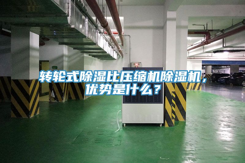 轉輪式除濕比壓縮機深夜福利视频网站，優勢是什麽？