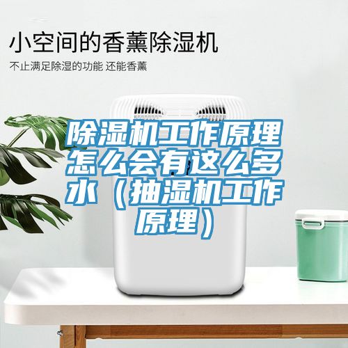 深夜福利视频网站工作原理怎麽會有這麽多水（抽濕機工作原理）
