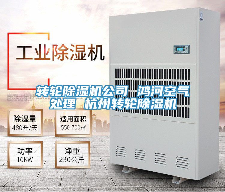 轉輪深夜福利视频网站公司 鴻河空氣處理 杭州轉輪深夜福利视频网站