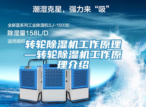 轉輪深夜福利视频网站工作原理—轉輪深夜福利视频网站工作原理介紹