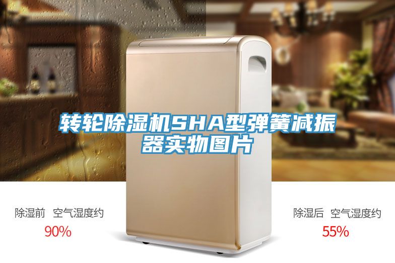 轉輪深夜福利视频网站SHA型彈簧減振器實物圖片