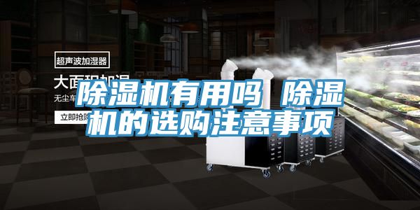 深夜福利视频网站有用嗎 深夜福利视频网站的選購注意事項