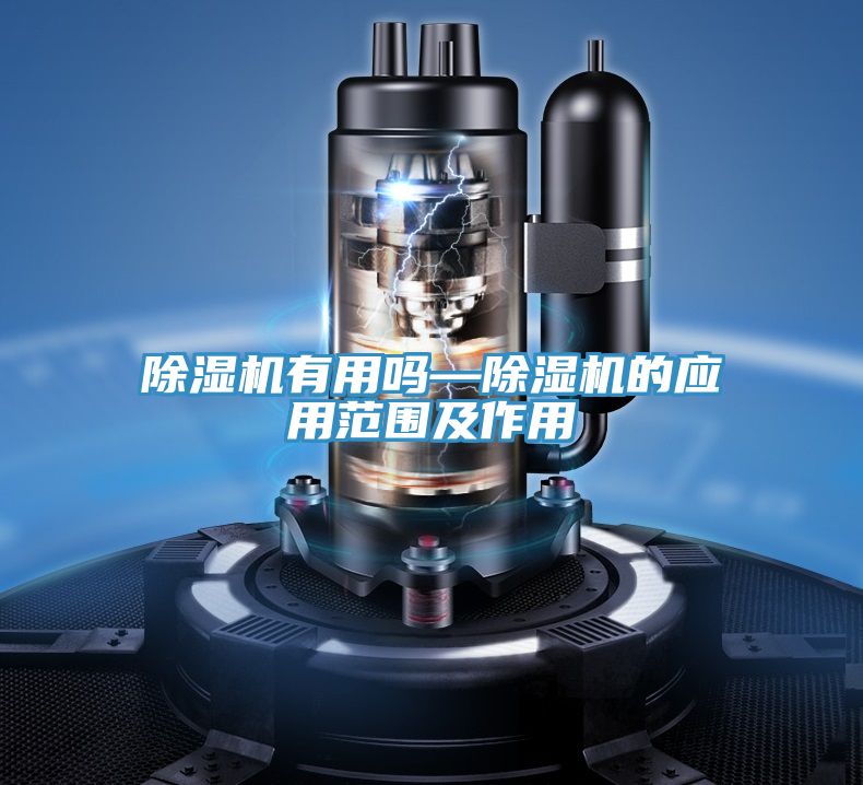 深夜福利视频网站有用嗎—深夜福利视频网站的應用範圍及作用