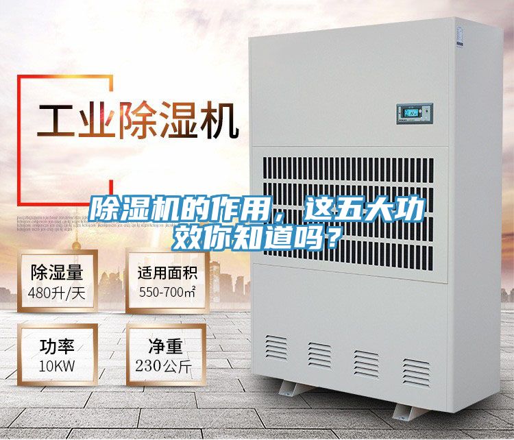 深夜福利视频网站的作用，這五大功效你知道嗎？